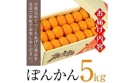 ＜先行予約＞＼数量・期間限定／JAさつま日置 いちき串木野産ポンカン約5kg （2L・L） 化粧箱入り 柑橘の特産品 ポンカン 贈答 ギフト プレゼントにもオススメ！ 果樹【A-1786H】