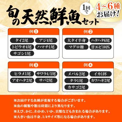 ふるさと納税 小浜市 【2ヵ月毎定期便】「若狭小浜港産地直送」のお任せ天然鮮魚セット! 全6回 |  | 02