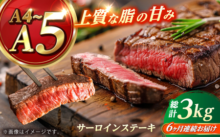 【全6回定期便】 長崎和牛 サーロイン ステーキ 250g×2 【KRAZY MEAT】 A5 A4 冷凍 和牛 肉 牛肉 BBQ[RCQ012]