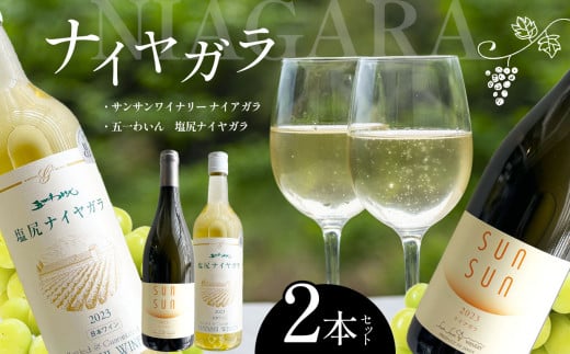ナイヤガラ 中口辛口2本セット | お酒 酒 おさけ ワイン わいん 長野県 塩尻市