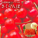 【ふるさと納税】【先行予約】山梨県南アルプス市産　さくらんぼ　約1kg〈出荷時期:2025年5月～2025年6月発送〉（沖縄県・離島は発送不可）【 内祝 お祝い 御祝い 御祝 お礼 御礼 プレゼント ギフト 贈り物 お歳暮 お中元 フルーツギフト 山梨県 南アルプス市 】