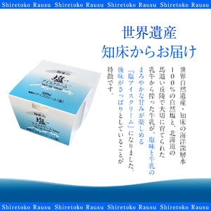 知床羅臼の塩 アイスクリーム 10個 ｜ アイスクリーム
