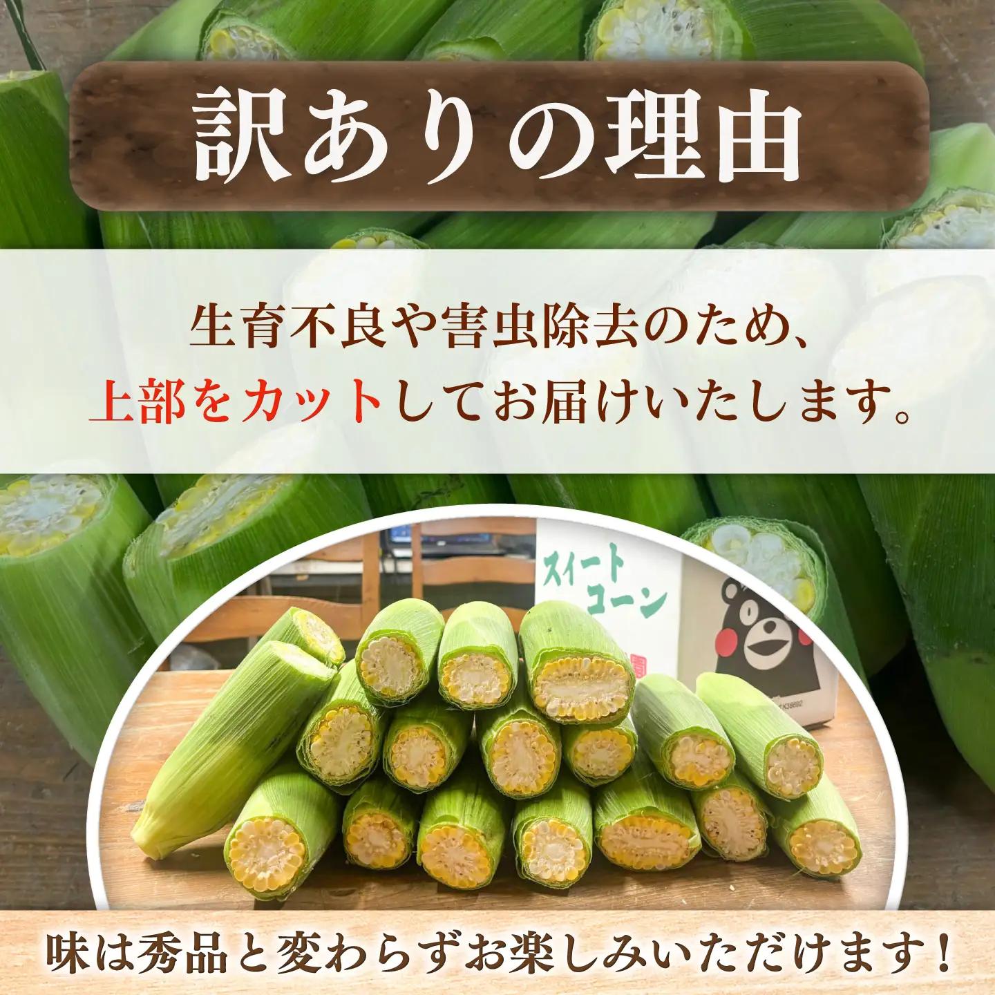 先行予約 2027年6月上旬より順次発送 訳あり スイートコーン(品種問わず) 4kg以上 スイートコーンBHCJ005