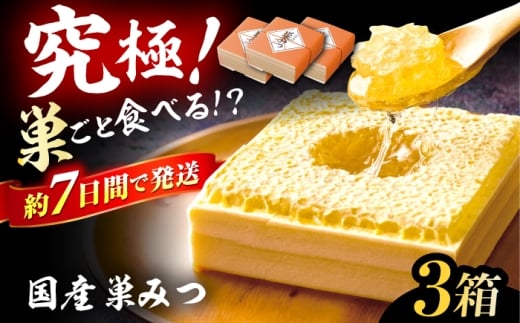 国産巣みつ 900g(300g×3個) 蜂蜜 はちみつ ハチミツ コムハニー 極上 濃厚  蜂蜜 グリークヨーグルト アサイーボウル パンケーキ ソフトクリーム オシャレ 人気 朝食 デザート 巣みつ スピード配送 広川町 / 株式会社九州蜂の子本舗 [AFAI006]