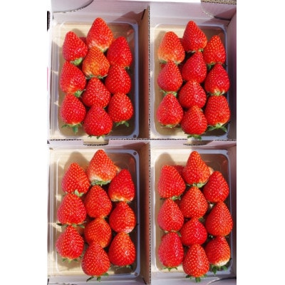 [訳あり] 栃木のいちご4品種食べ比べセット　1120g【配送不可地域：離島・沖縄】【1709450】