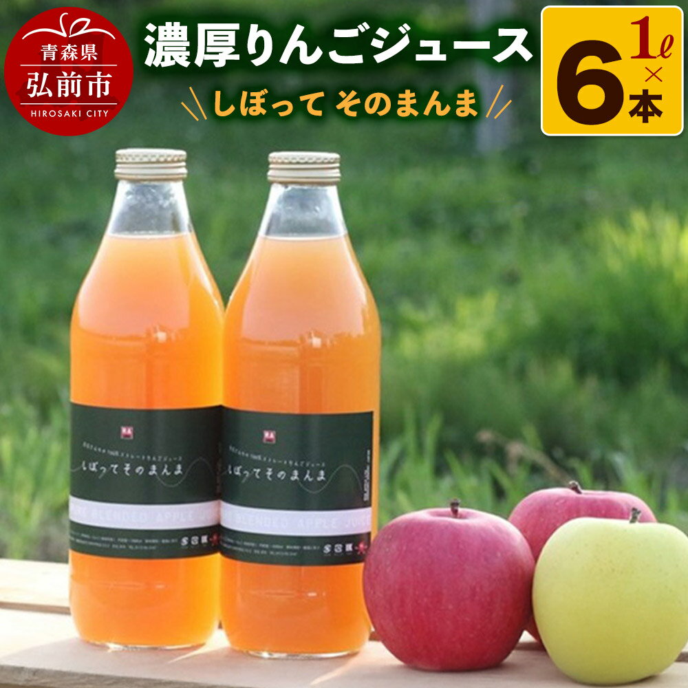 【ふるさと納税】濃厚りんごジュース『しぼって そのまんま』1L×6本 RED APPLE [アップル おいしい ジュース りんご 飲料 果実 果物 美味 林檎]