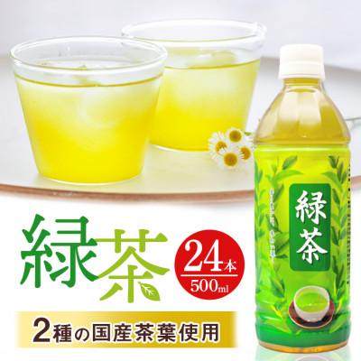 ふるさと納税 うるま市 琉球ビバレッジ　緑茶500ml×24本