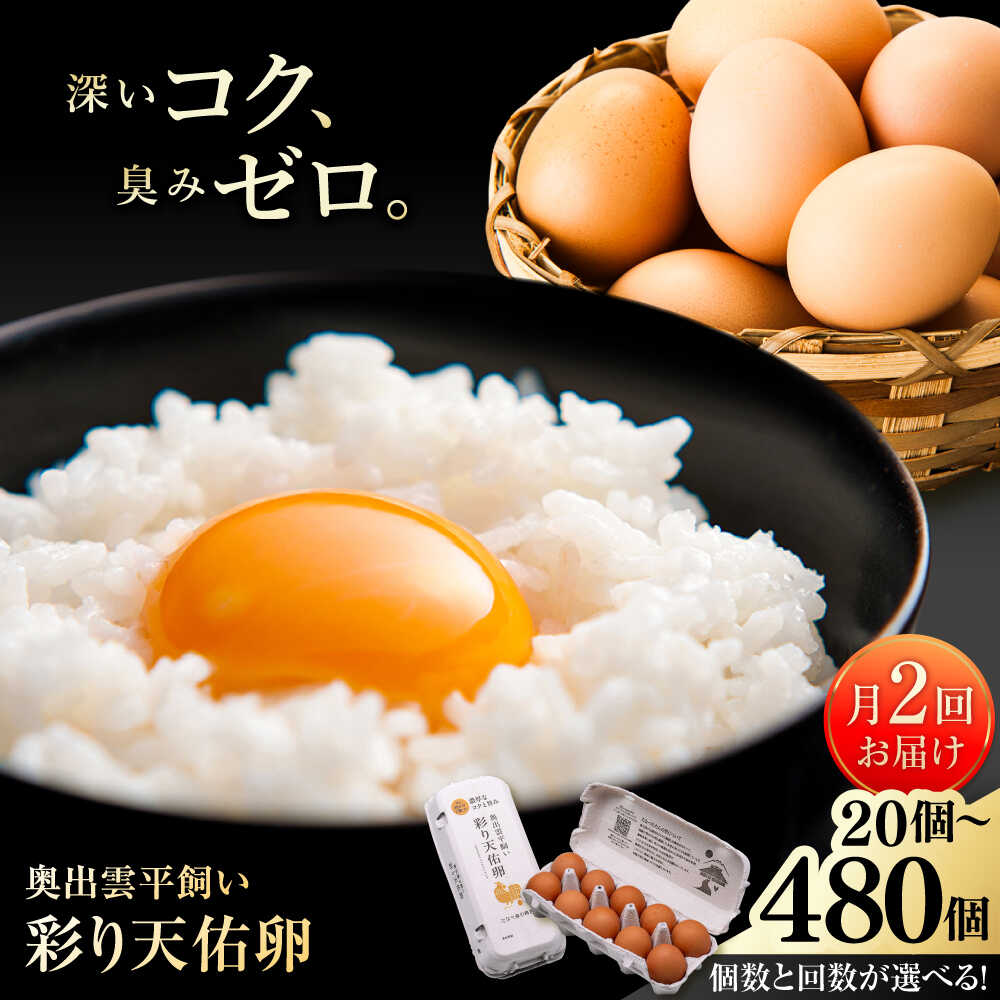 【ふるさと納税】【月2回配送】【選べる個数/お届けコース】 たたらの里平飼い 彩り天佑卵 定期便 たまご 卵 放牧卵 平飼い卵 新鮮 国産 島根県雲南市/株式会社たなべたたらの里（たなべ森の鶏舎）[AIDL016]
