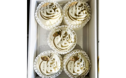 新高梨 3－6玉（合計約4kg） 化粧箱入り 【2026年9月下旬～11月上旬迄発送予定】 なし 梨 ナシ 国産 フルーツ 果物 ギフト 岡山県産