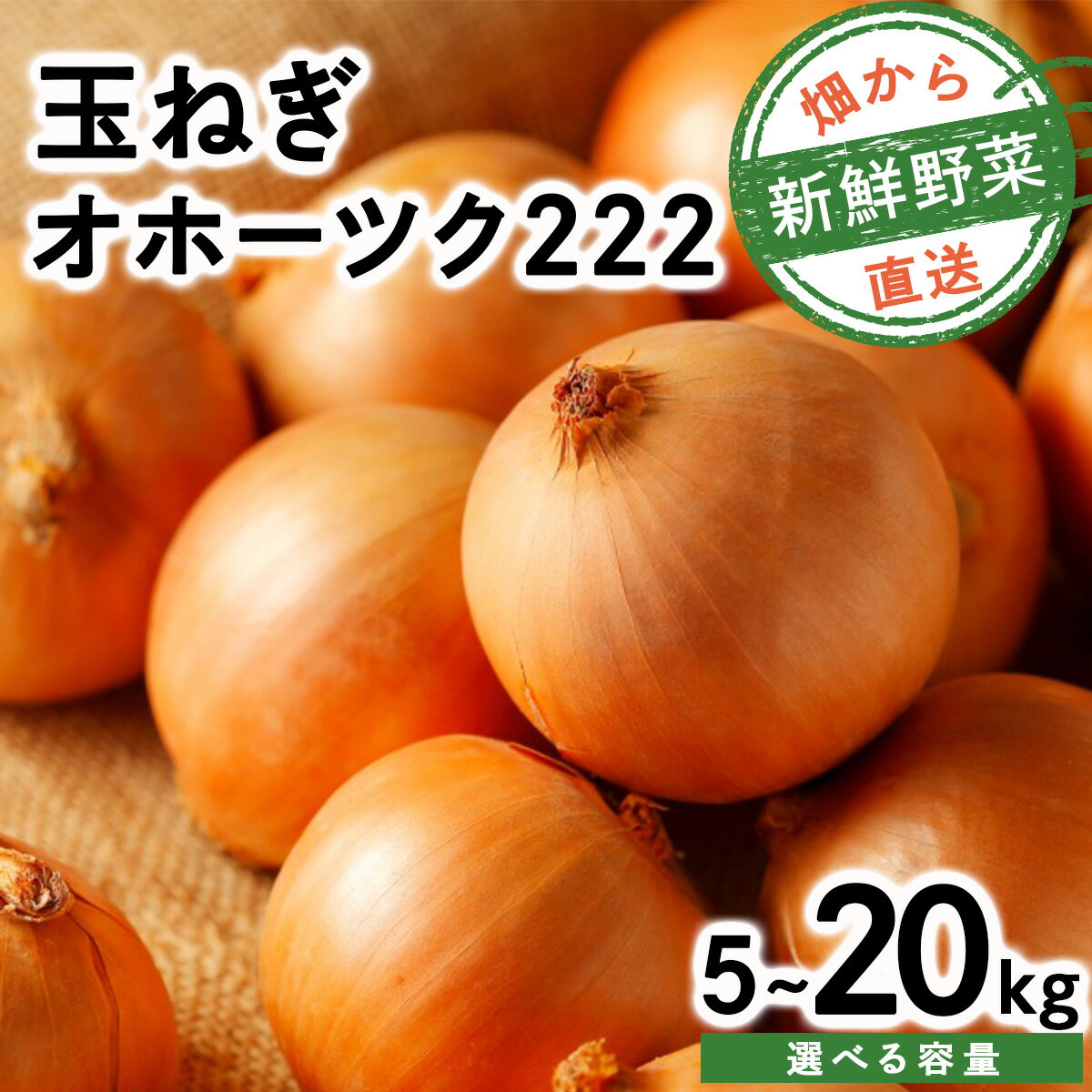【ふるさと納税】【順次配送・先行予約】＜ 配送時期 & 内容量 が選べる＞畑から 直送 の 新鮮野菜！玉ねぎ（オホーツク222）5kg / 10kg / 20kg たまねぎ 玉葱 タマネギ国産 産地直送 まとめ買い 業務用 贈り物 甘い 野菜 シャキシャキ 美味しい 北海道 送料無料