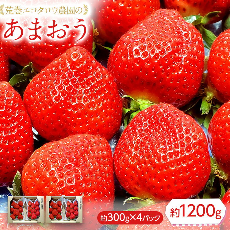 【ふるさと納税】荒巻エコタロウ農園のあまおう約300g×4パック(約1200g)【2026年2月下旬以降順次出荷予定】BJ04