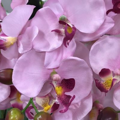 ふるさと納税 大垣市 光触媒造花胡蝶蘭　3本立(ピンク) |  | 01