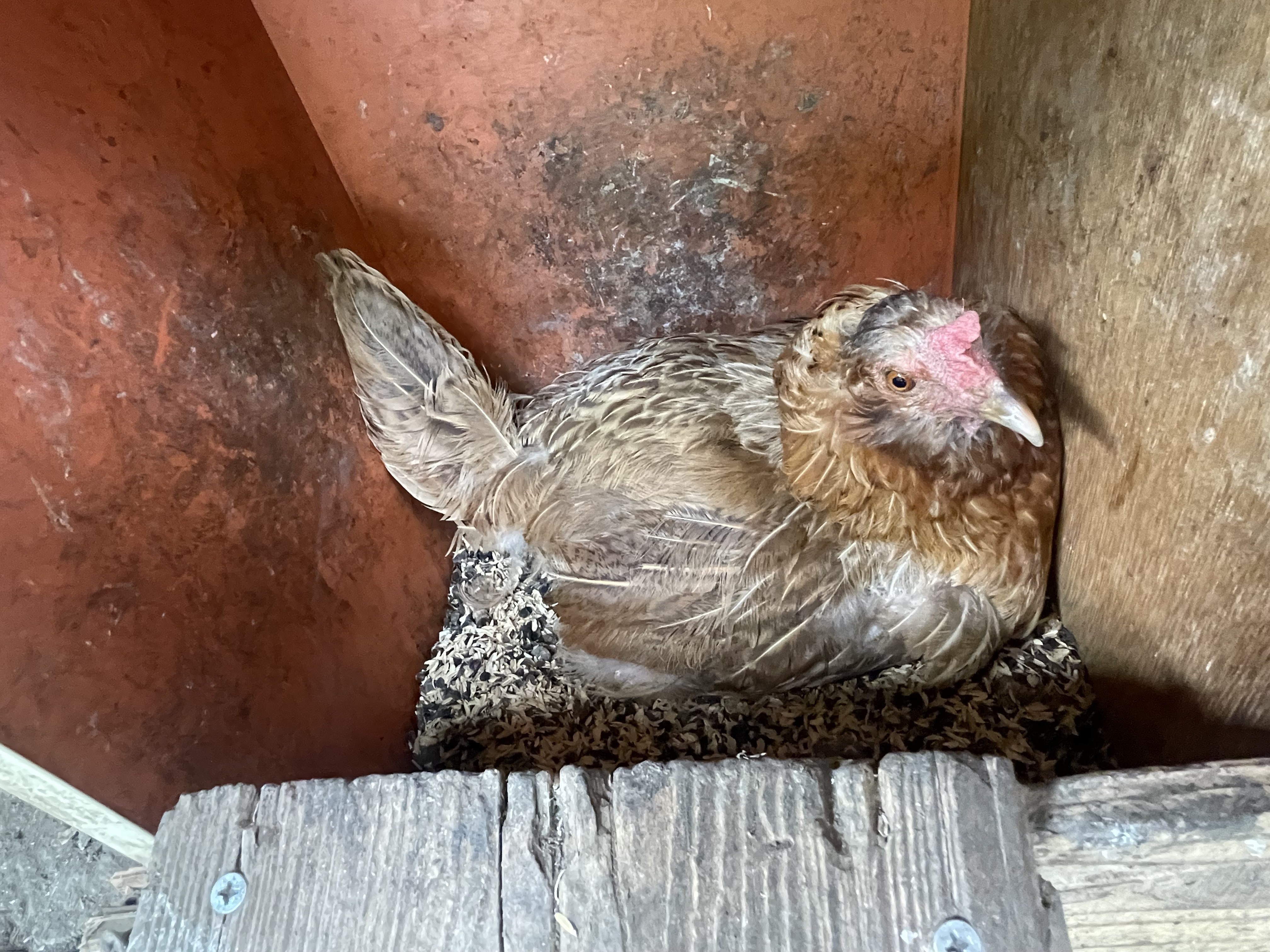大地の恵みを実感
