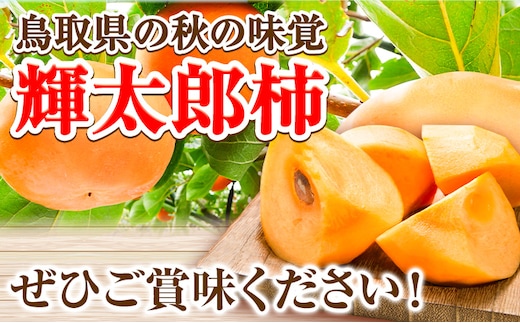輝太郎柿 3kg 7〜10玉 秀品 先行予約《10月上旬-10月下旬頃出荷》JA鳥取いなば 鳥取県 八頭町 柿 かき カキ くだもの くだもの 果物 青果物 フルーツ