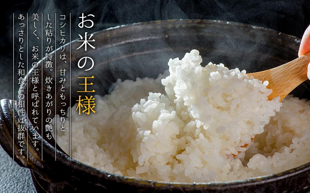 【選べる回数】令和7年産 コシヒカリ 5kg プロ厳選の産地直送米 R7年産 阿蘇の美味しいお米をお届け！精米 白米 人気 美味しい 甘み 香り ツヤ おすすめ ごはん 熊本県 阿蘇市 通常便（1回）