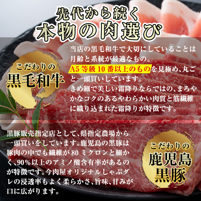 C-013 ＜Ａ５ランク＞黒毛和牛ステーキ計約500g(250g×2枚)※北海道・沖縄配送不可※【今肉屋】 国産 黒毛和牛 鹿児島県産 肉 牛肉 A5等級 サーロイン ステーキ肉 30000