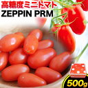 【ふるさと納税】ZEPPIN PRM(プレミアム) 500g 高濃度 株式会社ジェイ・イー・ティ・アグリ 《120日以内に出荷予定(土日祝除く)》甘い うまみ とまと ミニトマト 野菜 岡山県 笠岡市