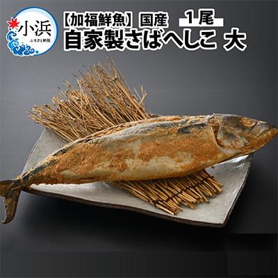 ふるさと納税 小浜市 【のし付き】加福鮮魚 自家製さばへしこ大1尾(約700g)