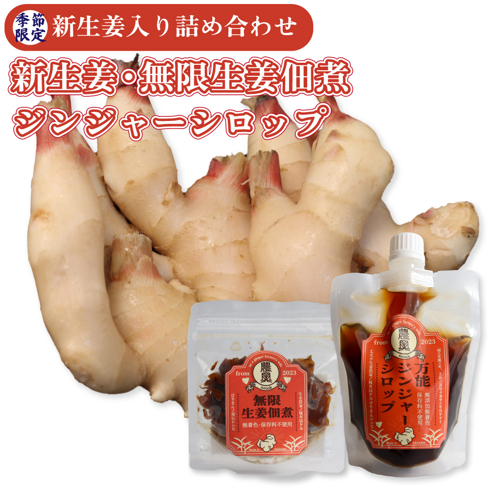 【土付き新生姜1kg・生姜佃煮1袋・ジンジャーシロップ1個】＜2026年11月下旬～12月上旬ごろ発送予定＞　農家の嫁の生姜佃煮1袋70g ジンジャーシロップ200ml クラフトジンジャー 掘りたて 土付き 新ショウガ 1kg ごはんのお供 農奥 高知 詰合せ（C）