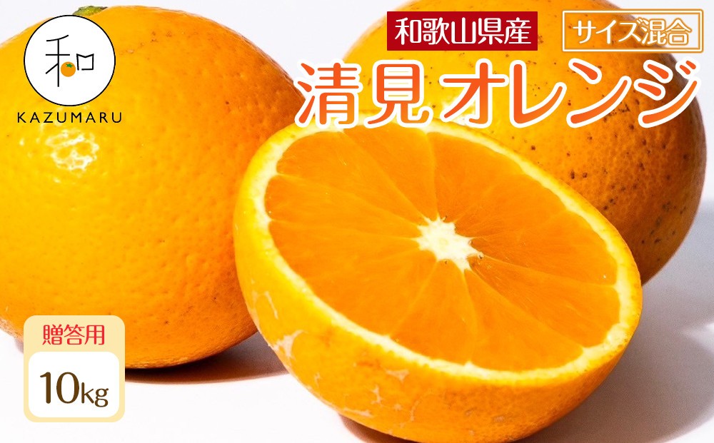 
            贈答用 森本農園の手選別 厳選清見オレンジ 約10kg 和歌山県産 サイズ混合 ［北海道・沖縄・離島配送不可］［2026年2月上旬から5月中旬頃順次発送予定］［RN90］【会員限定のお礼の品】
          