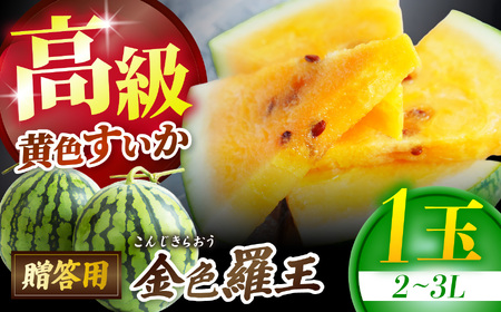 信州松本平産 贈答用 高級黄色すいか【金色羅王(こんじきらおう)２～３L １個】～黄金色に輝く、夏の宝玉。信州の清流と太陽が育てた奇跡の一玉～