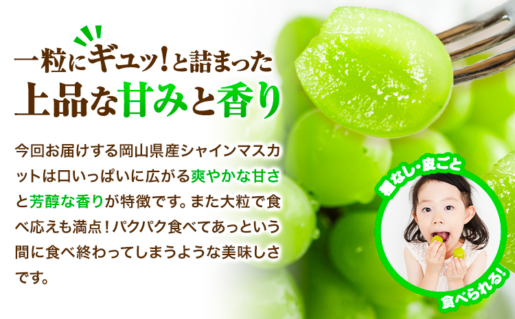【2026年先行予約】シャインマスカット 岡山県産 2房 (1房 700g)《2026年9月上旬-9月中旬頃出荷》ひらた農園  岡山県 浅口市 ぶどう 果物 ギフト---124_2003_9a9b_2