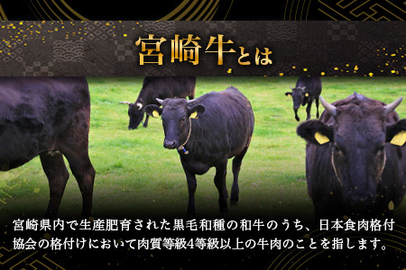 宮崎牛 サーロインステーキ 200g×2枚 計400g TK-88 [宮崎県 椎葉村 宮崎牛 和牛 黒毛和牛 牛肉 ぎゅうにく 牛 うし ぎゅう 肉 お肉 にく おにく サーロインステーキ サーロイン