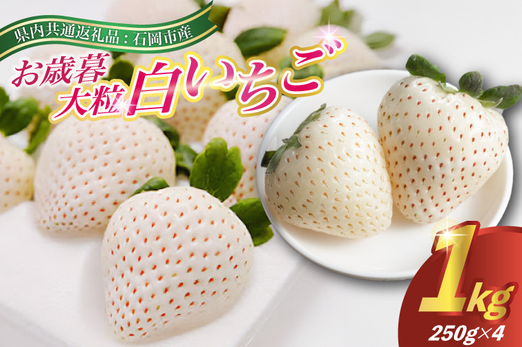 
            2025年12月より順次発送お歳暮白いちご大粒250g(8～12粒)×4pc県内共通返礼品:石岡市産 (BR033)
          