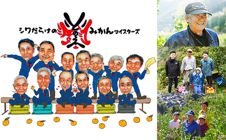 愛媛県明浜産「皮より中身」みかん（10kg） ATI0013
