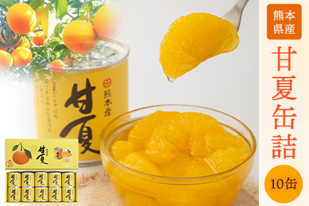缶詰 甘夏 10缶 缶詰
