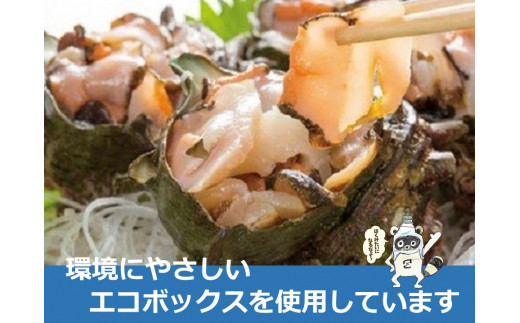 
周防大島産のべっぴんさざえ【天然活・つぼ焼き用サイズ】10個
