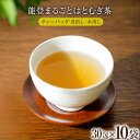 【ふるさと納税】能登まるごとはとむぎ茶ティーバッグ　10袋セット [はくい農業協同組合 石川県 宝達志水町 38600591]