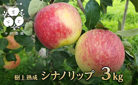 2026年産 りんご 3kg 樹上熟成 シナノリップ 林檎 リンゴ 果物 くだもの フルーツ 旬の果物 旬のフルーツ 季節の果物 季節のフルーツ 美味しい果物 長野県産 長野県産りんご 信州 長野 長野県 長野市