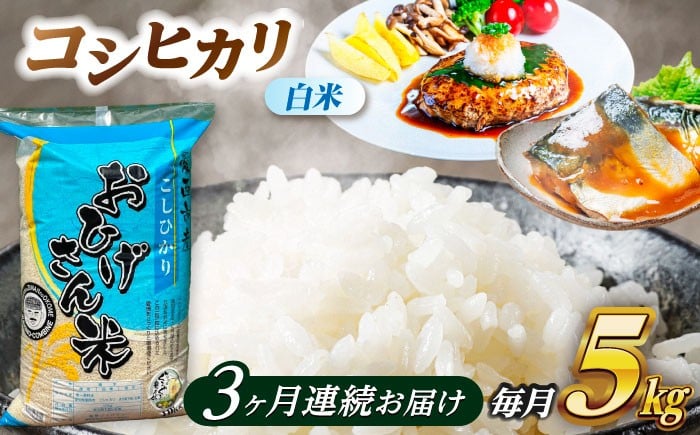
            【3回定期便】コシヒカリ 白米 5kg×3ヵ月 愛西市 / 脇野コンバイン [AECP024]
          