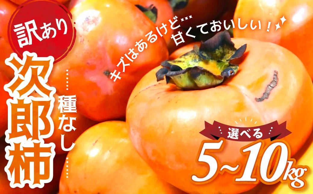 
            【令和7年産柿/先行予約】《 訳あり 》選べる容量 5㎏ 10kg 次郎柿 たねなし 柿 かき フルーツ 家庭用 訳あり 規格外 わけあり 不揃い ふぞろい 種なし 干し柿 先行 先行予約 三重県 多気町 GF-S
          