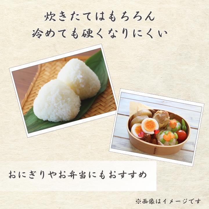 令和7年産 ふさこがね 精米 10kg （ 5kg × 2 ） ／ 米 こめ コメ お米 ごはん ご飯 精米 白米 10kg 5kg ふさこがね 令和7年産 新米 JA 農協 ちばみどり ちばみどり農