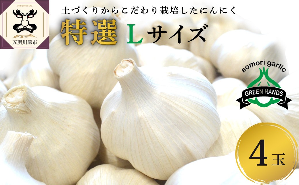 
                  【先行受付】【8月上旬より順次発送】 ≪特撰≫  青森県産 にんにく Lサイズ４玉 ホワイト六片 【 にんにく 青森 五所川原 大蒜 ニンニク ガーリック 青森県産にんにく 】
                