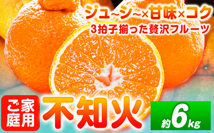 
                  【ご家庭用】紀州有田産 不知火 ( しらぬひ ) 約6kg 魚鶴商店 先行予約《2027年2月中旬-3月中旬頃出荷》 和歌山県 日高町 不知火 柑橘 果物 フルーツ デコポンと同品種 訳あり不知火 訳ありデコポン 訳あり 送料無料
                