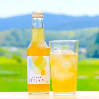 
                  大阪府豊能町ご当地サイダー|とよのサイダー＜12本セット＞【1703035】
                