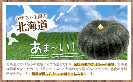 こふき かぼちゃ 南瓜 約10kg 6~8玉 《2026年9月下旬-10月下旬頃出荷》高橋賢三 送料無料 北海道 本別町 北海道 十勝 本別町産 かぼちゃ 栗かぼちゃ パンプキン ホクホク 野菜