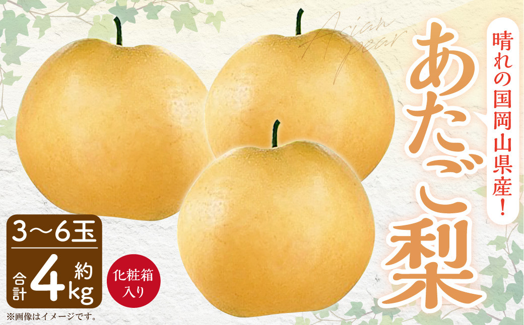 
            岡山県産 あたご梨 3-6玉 （約4kg） 化粧箱入り 【2025年11月下旬～12月下旬発送予定】 果物 くだもの フルーツ 梨 なし 贈答 ギフト 岡山 大玉
          