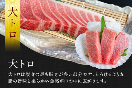 沖縄県産「旬のマグロ」をお届け！天然本マグロセット 600g