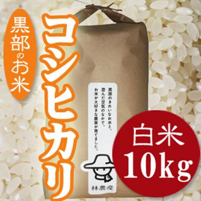 ふるさと納税 黒部市 令和7年産コシヒカリ一等米10kg 精米