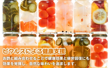 ＜農家が作る 王道ピクルス！＞3種野菜のピクルス(6本) 常温 常温保存 酢漬け 漬物 おかず サイドディッシュ ヘルシー カラフル おつまみ 【m104-05-D】【エントランスファーム】