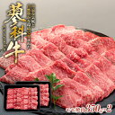 【ふるさと納税】 蓼科牛モモ焼肉 350g×2パック | 国産 肉 牛肉 牛 お肉 焼肉 焼き肉 モモ BBQ バーベキュー お取り寄せ グルメ 蓼科牛 ふるさと 信州 長野県 立科町 蓼科