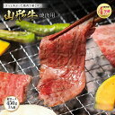 【ふるさと納税】山形牛 焼肉用 肉質等級：4等級(B.M.S.No.5)以上 F2Y-0876
