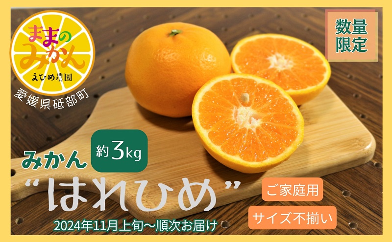 ＜産地直送＞【数量限定】みかん「はれひめ」サイズ不揃い3キロ家庭用 11月上旬頃～順次発送【訳あり ふぞろい 甘い みかん 愛媛】