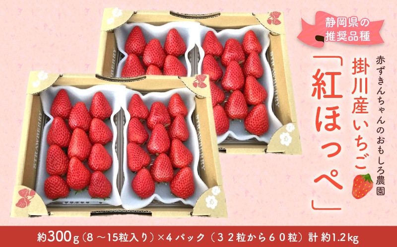 
２０７９　いちご 掛川産 紅ほっぺ 約300g×4パック 計1.2ｋｇ ①4月 ②5月の中からお選び下さい 赤ずきんちゃんのおもしろ農園
