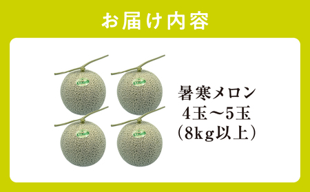 北海道産 暑寒メロン 4～5玉 (8kg以上×1箱) 2026年7月発送青肉 果物 フルーツの王様 春 夏 秋 冬 御中元  フルーツ 生ハム パフェ ケーキ デザート ピューレ めろん さっぱりした