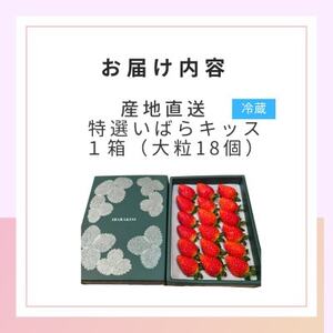 茨城県産いちご 茨城県オリジナル品種 【特選いばらキッス】計18粒(1箱)大粒・厳選　濱野いちご園【配送不可地域：離島・沖縄県】【1707678】